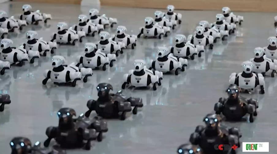 chinese-robots-accelerate-global-expansion-diversified-application-scenarios