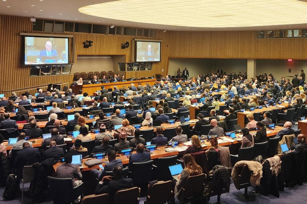 Topical issues of statistics development were discussed at the 56th session of the UN Statistical Commission