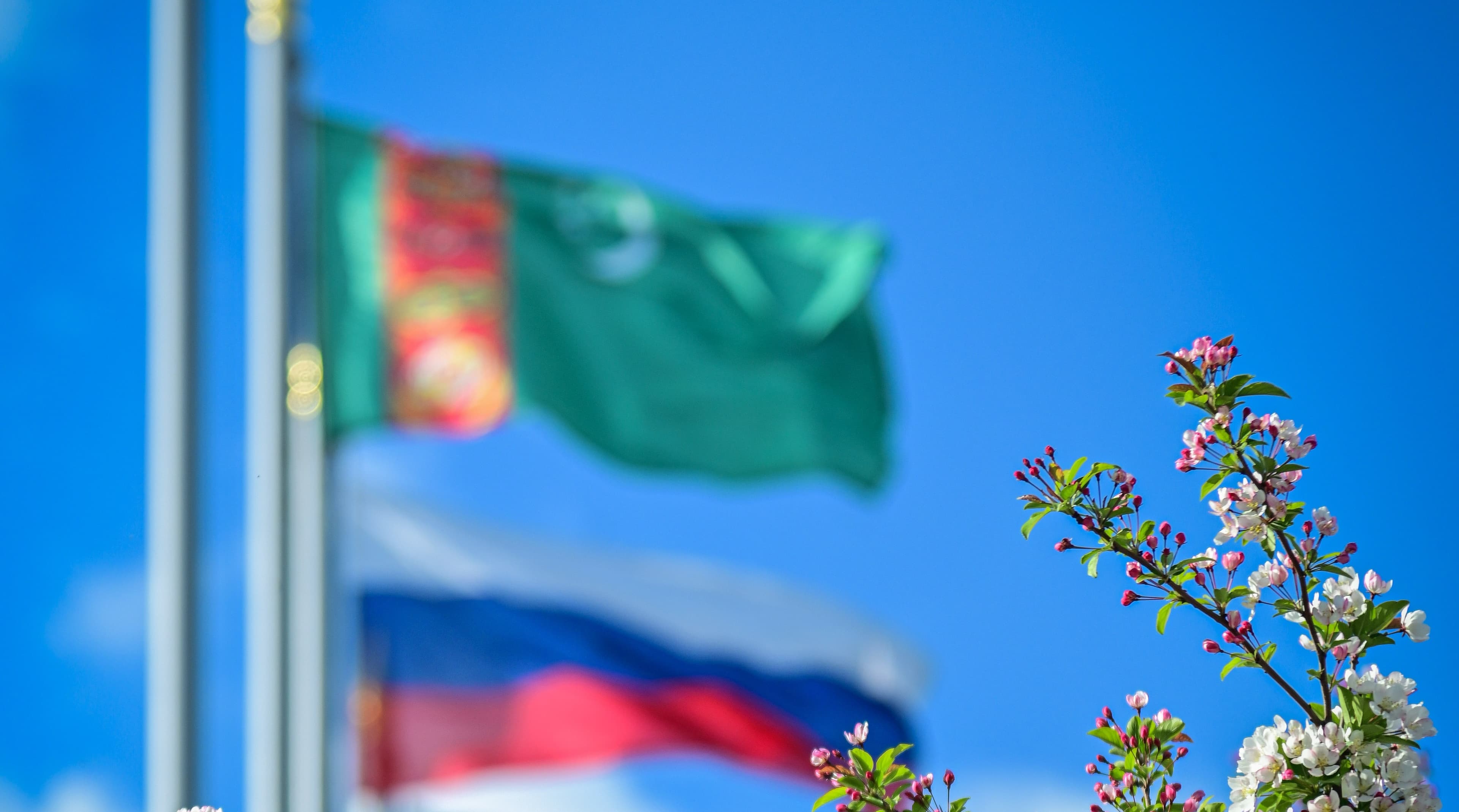 serdar-berdimuhamedov-congratulated-vladimir-putin