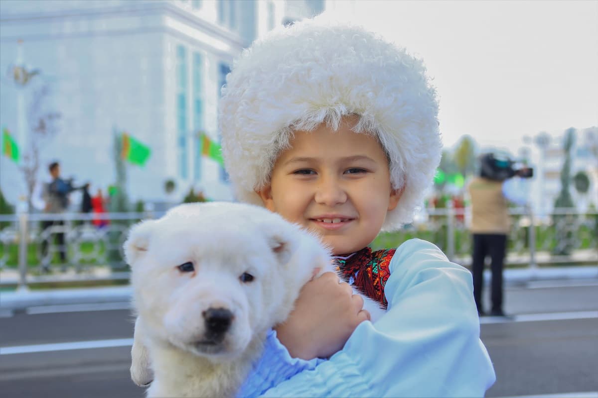 Turkmen Alabai Day – a Holiday Uniting the World's Cynologists and National Heritage