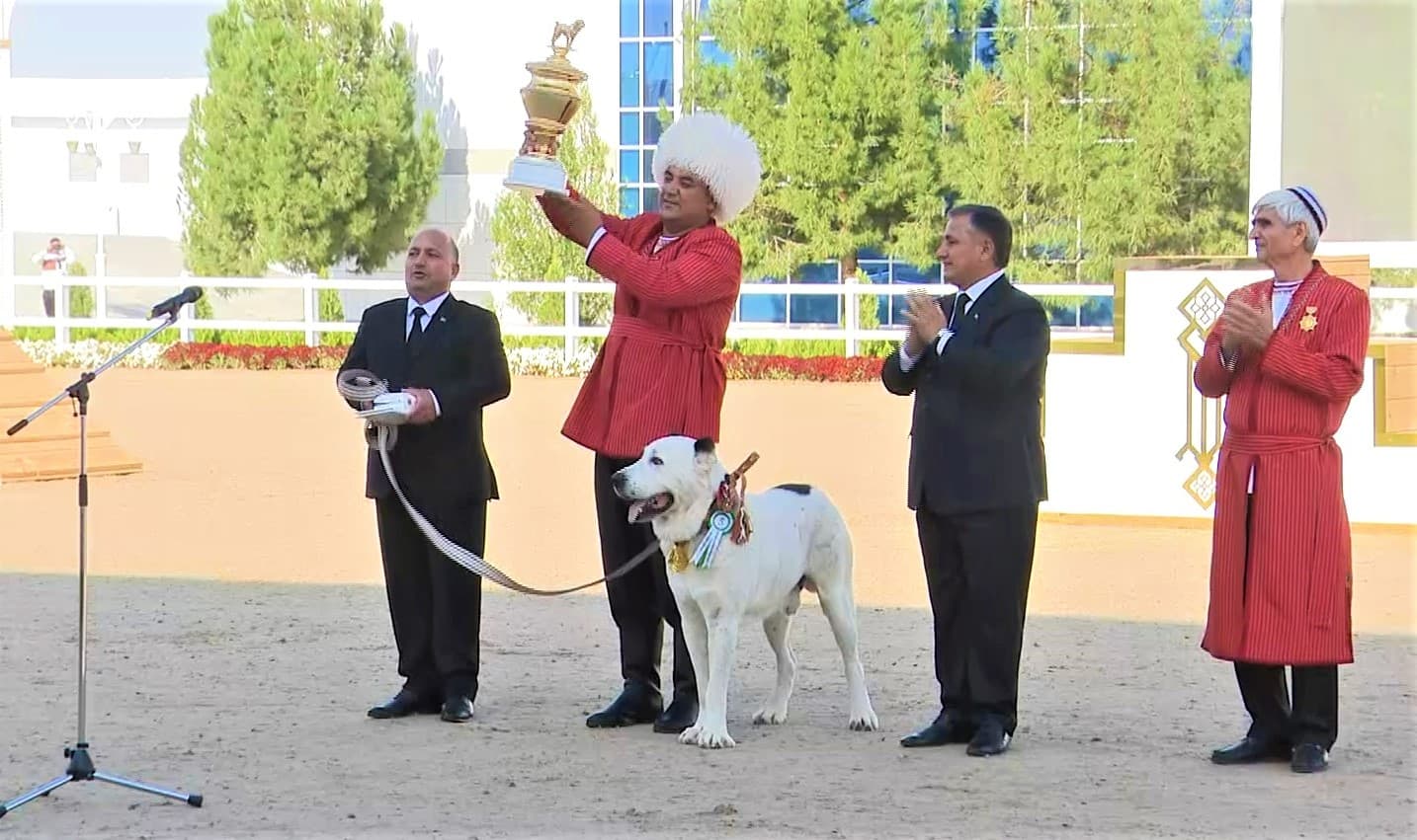 Turkmenistan Announces Best Alabai-Competition Winner
