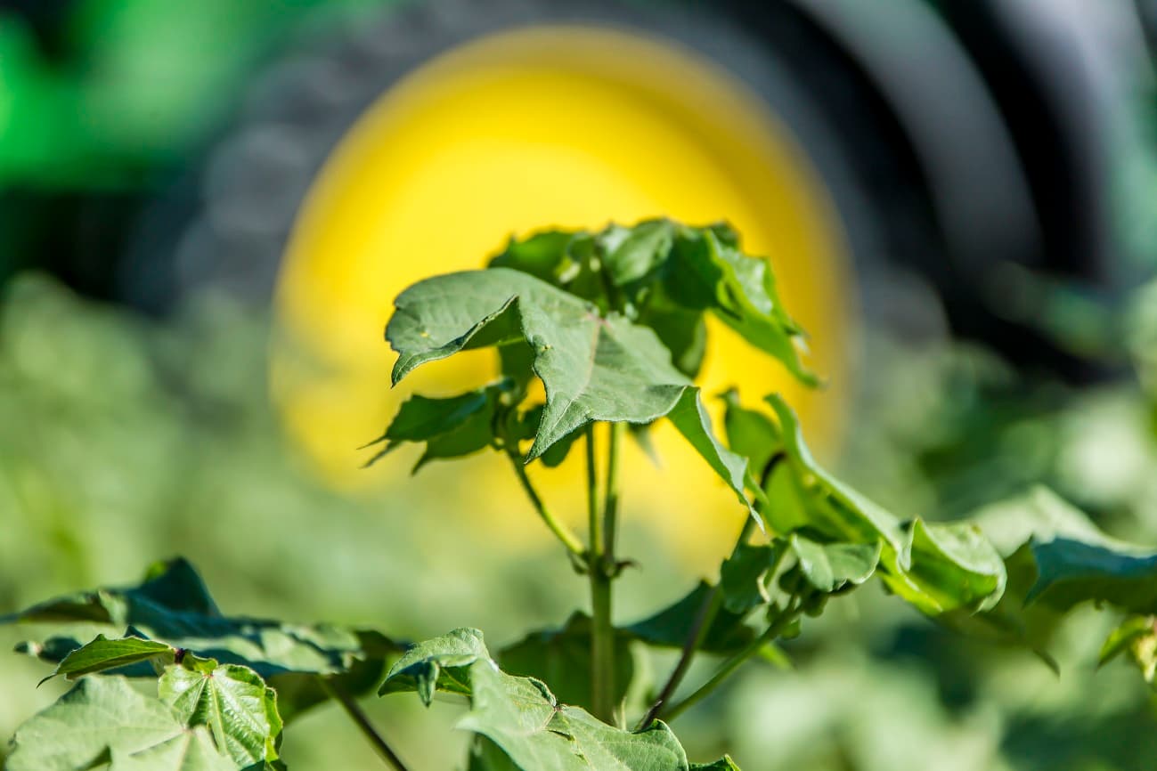 serdar-berdimuhamedov-orders-diversification-agricultural-research-trip-mary-velayat