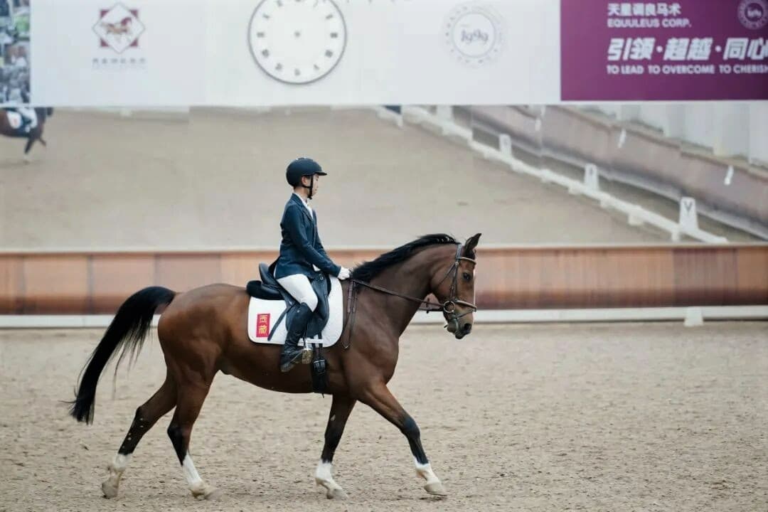 Национальный Лидер туркменского народа посетил конный комплекс Equuleus в Пекине