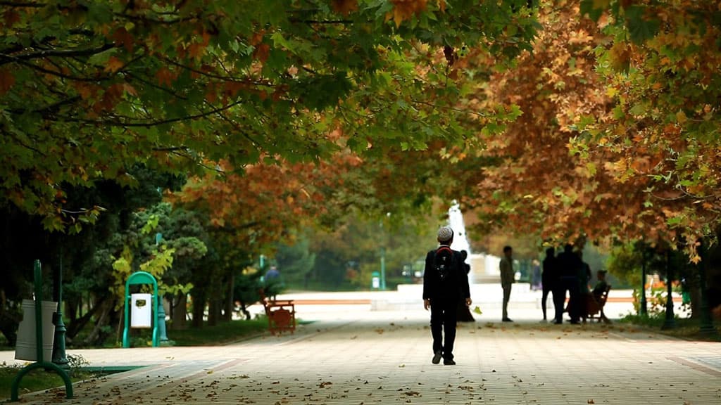 v-turkmenistane-otmecheny-pervye-zamorozki