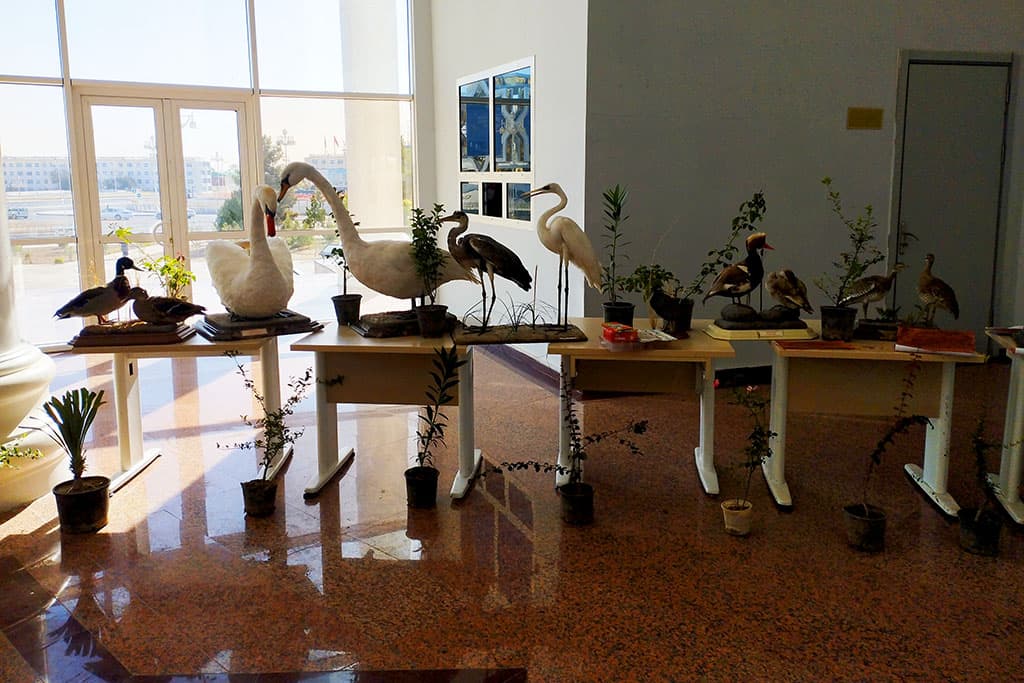 v-stolichnoj-shkole-ruhnama-proshla-vystavka-ischezayushchih-vidov-zhivotnyh