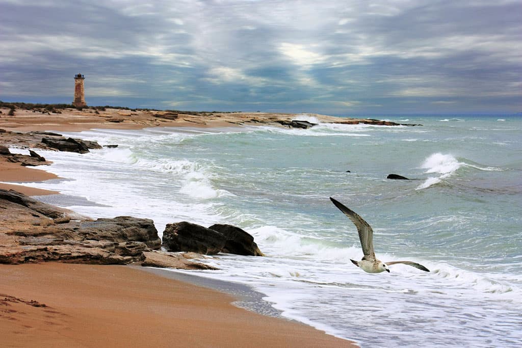 turkmenistan-i-velikobritaniya-namereny-razvivat-ekologo-klimaticheskie-kontakty
