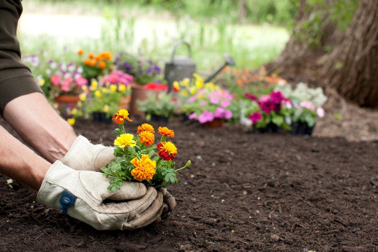 Tender for the assistance in gardening work at the British Embassy Residence