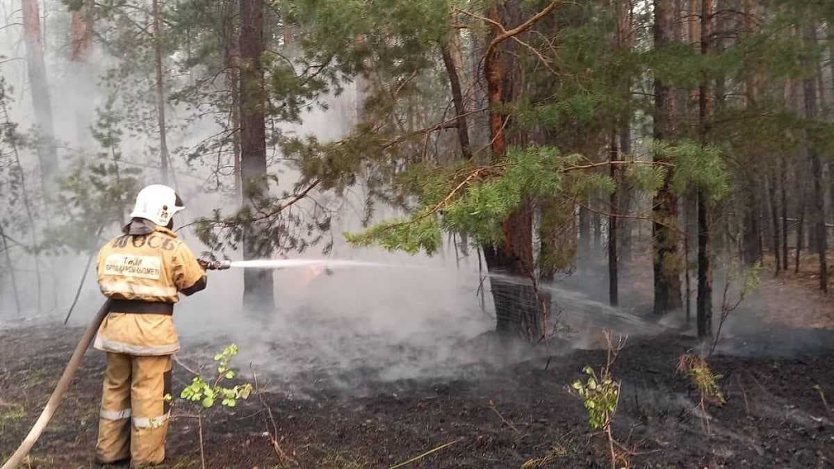 The leadership of Turkmenistan expresses condolences to Tokayev in connection with forest fires
