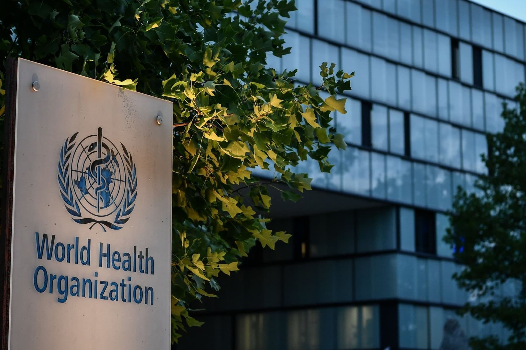 Turkmenistan will take part in the WHO subregional workshop in Germany