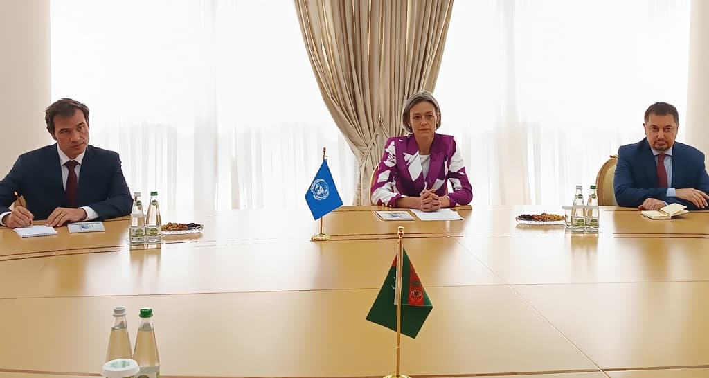 Negotiations with the head of the UN project unit were held at the Ministry of Foreign Affairs of Turkmenistan