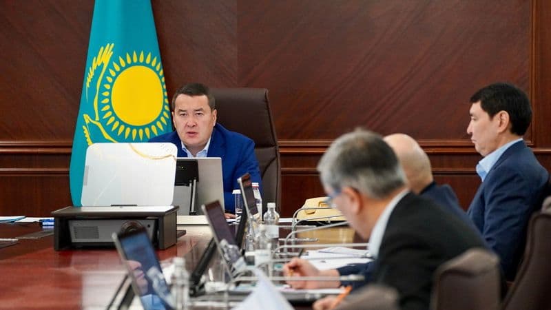 An automated system of state control of business will be launched in Kazakhstan from 2024