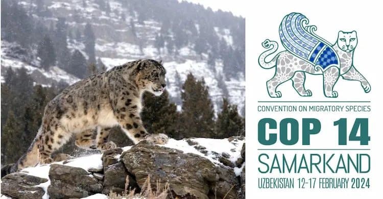 vpervye-na-territorii-sng-projdet-konferenciya-storon-konvencii-cms