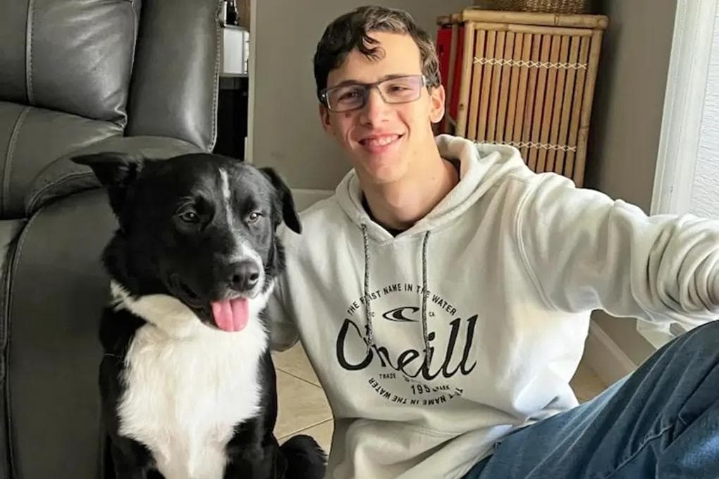 In the USA, a dog saved a 17-year-old teenager after a stroke
