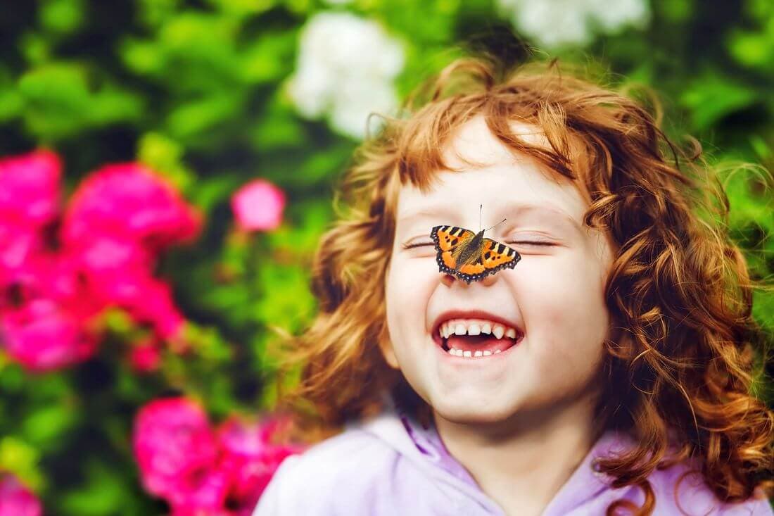 Paradise on Earth – The World of butterflies in Miami