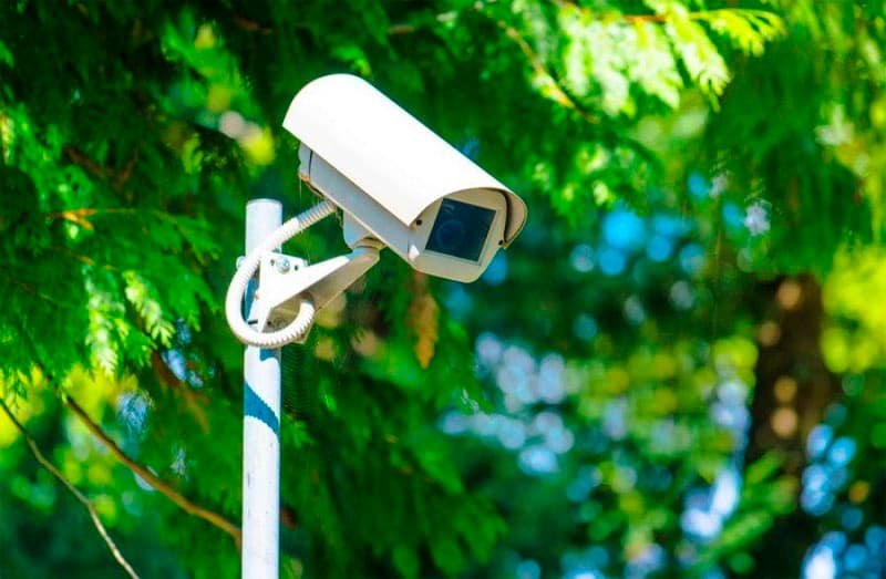 Belarus to completely cover forests with video surveillance system
