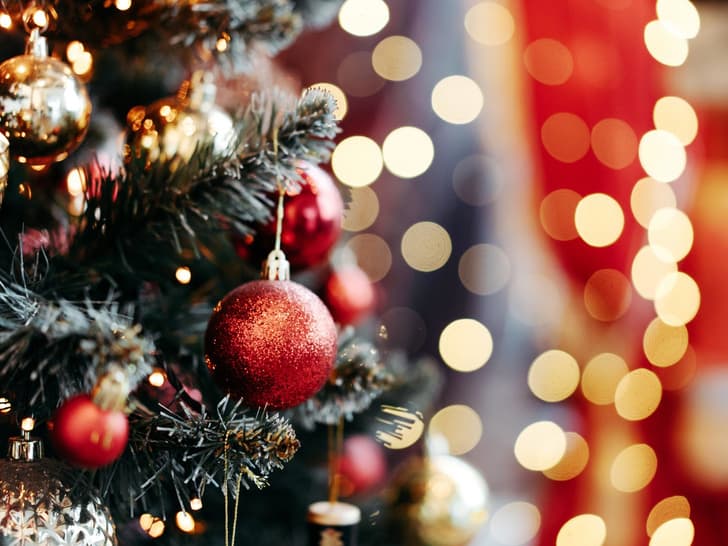The Ministry of Internal Affairs of Turkmenistan reminded about the safety rules for decorating a New Year tree