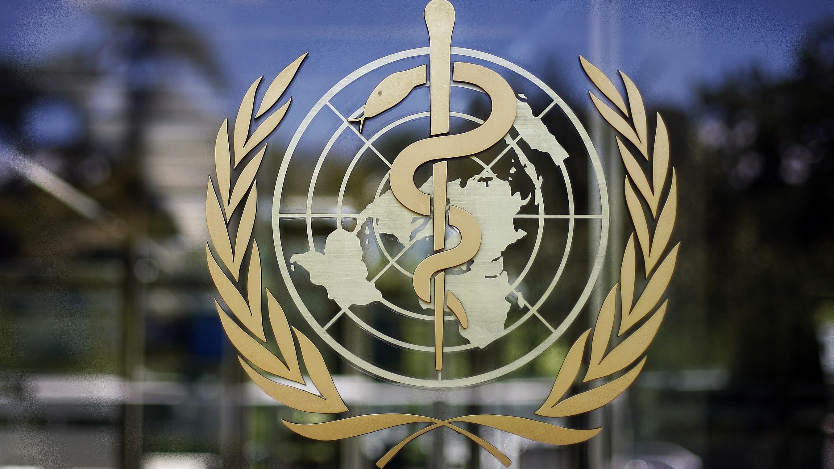 WHO: tobacco use is decreasing globally
