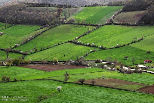 iranskaya-provinciya-narashchivaet-neneftyanoj-eksport-v-turkmenistan