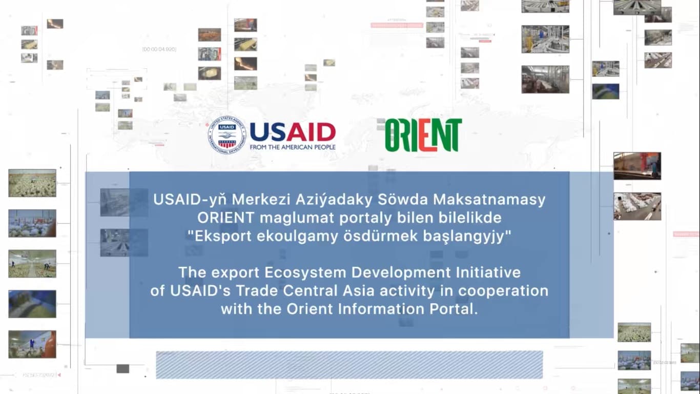 Интервью с Алланазаром Гараджаевым (Эксперт по экспортным операциям, ТязеАй)