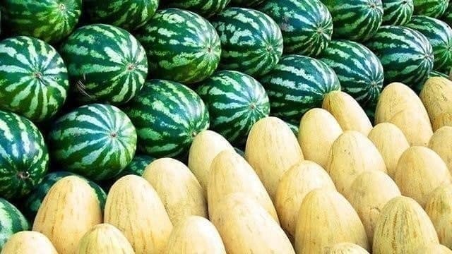 v-turkmenistane-uvelichilsya-eksport-arbuzov-i-dyn