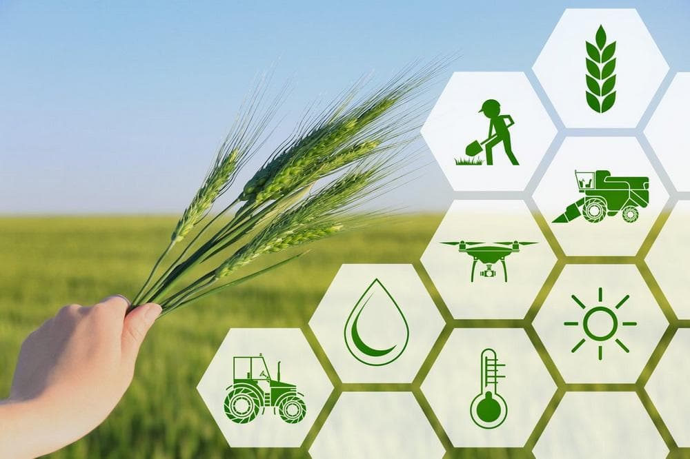 Turkmen entrepreneurs to receive training in “smart” agriculture in Germany