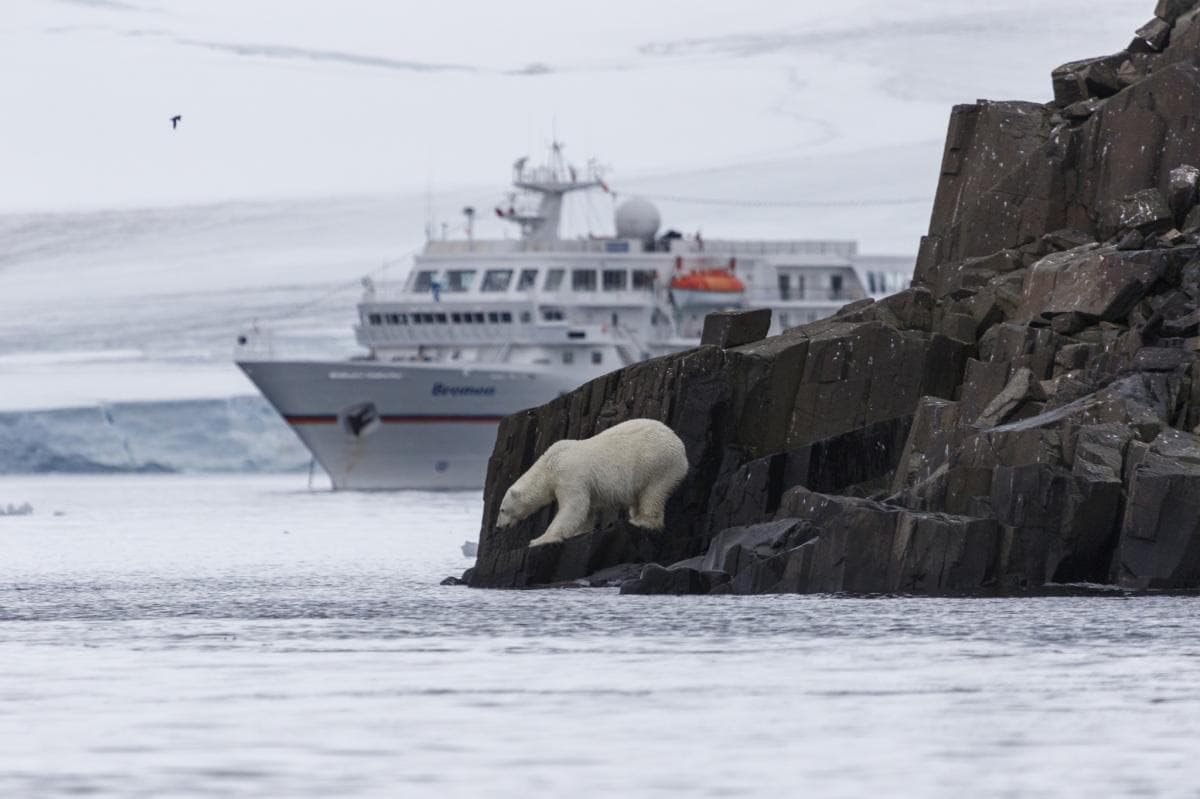 Russia proposes integrating the Northern Sea Route into the North-South Transport Corridor