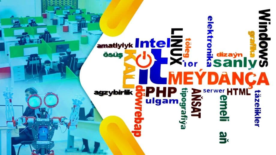The "Turkmenaragatnashyk" agency focuses on new digital solutions developed by young people