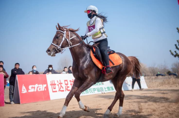 A horse racing event featuring Akhal-Teke horses was held in a city in China