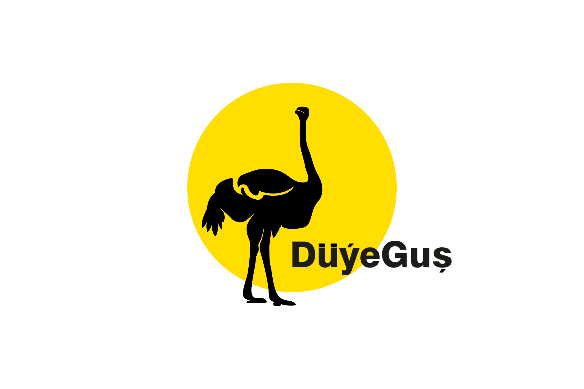 Düýe Guş company - Bronze partner of IFT 2025 Forum