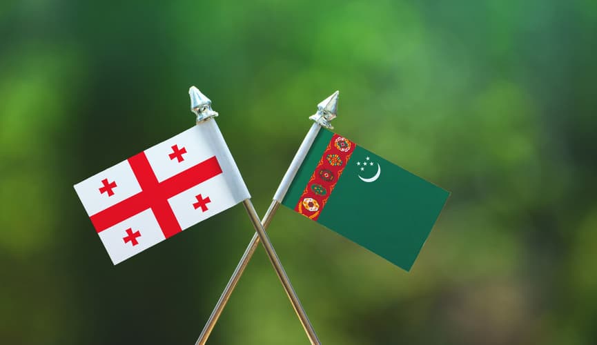 The 2024 trade turnover between Turkmenistan and Georgia has exceeded $81 million USD
