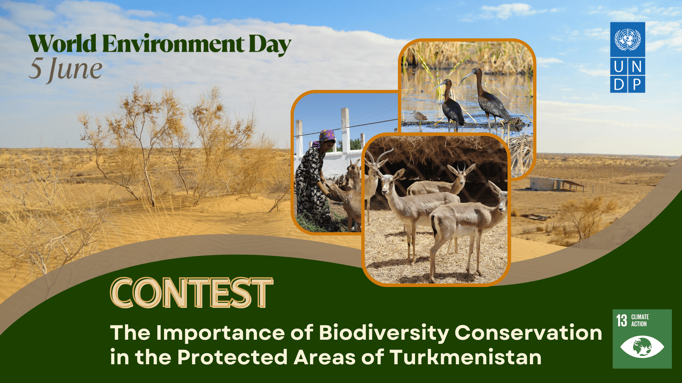 Competition for the development of visual materials highlighting the importance of biodiversity conservation in the territory of Turkmenistan