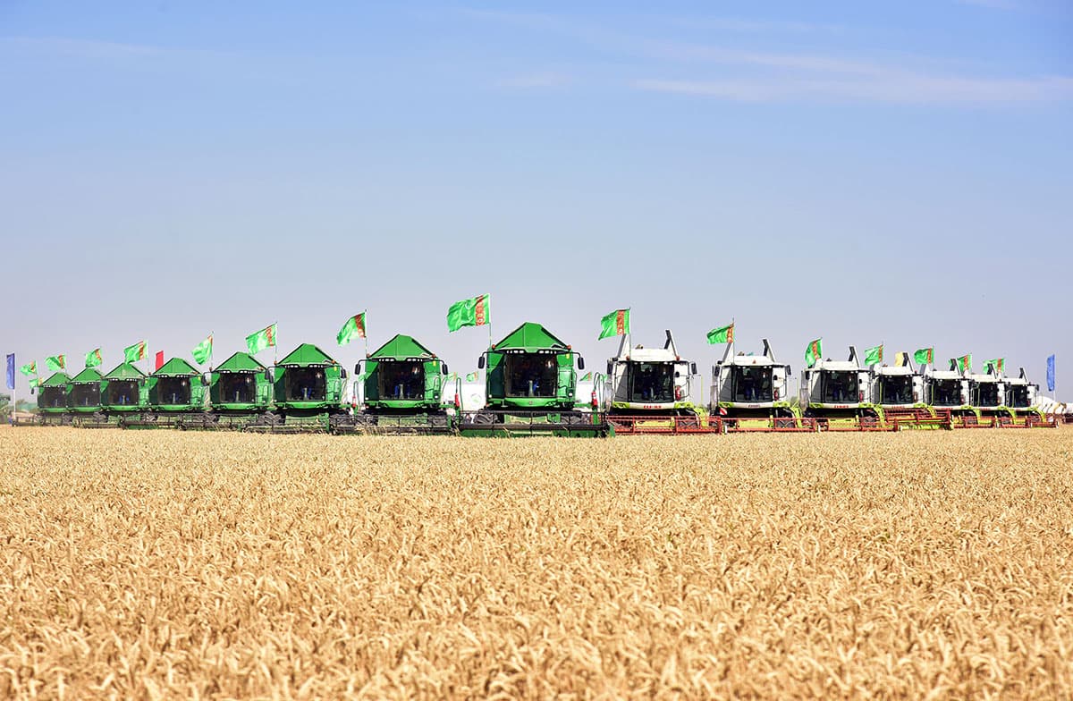 Grain Harvesting Campaign Begins in Turkmenistan