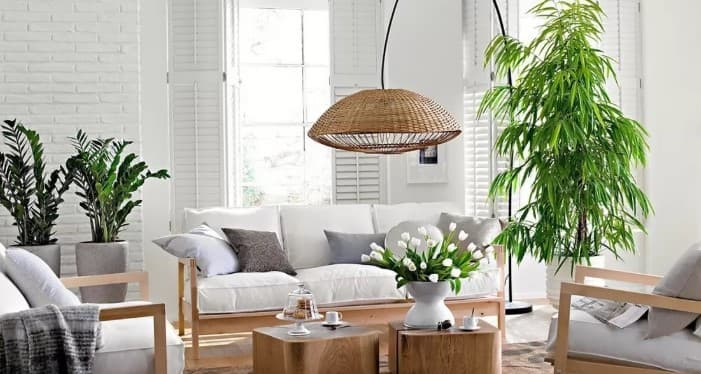 indoor-plants-interior-design-windowsills-stylish-accents