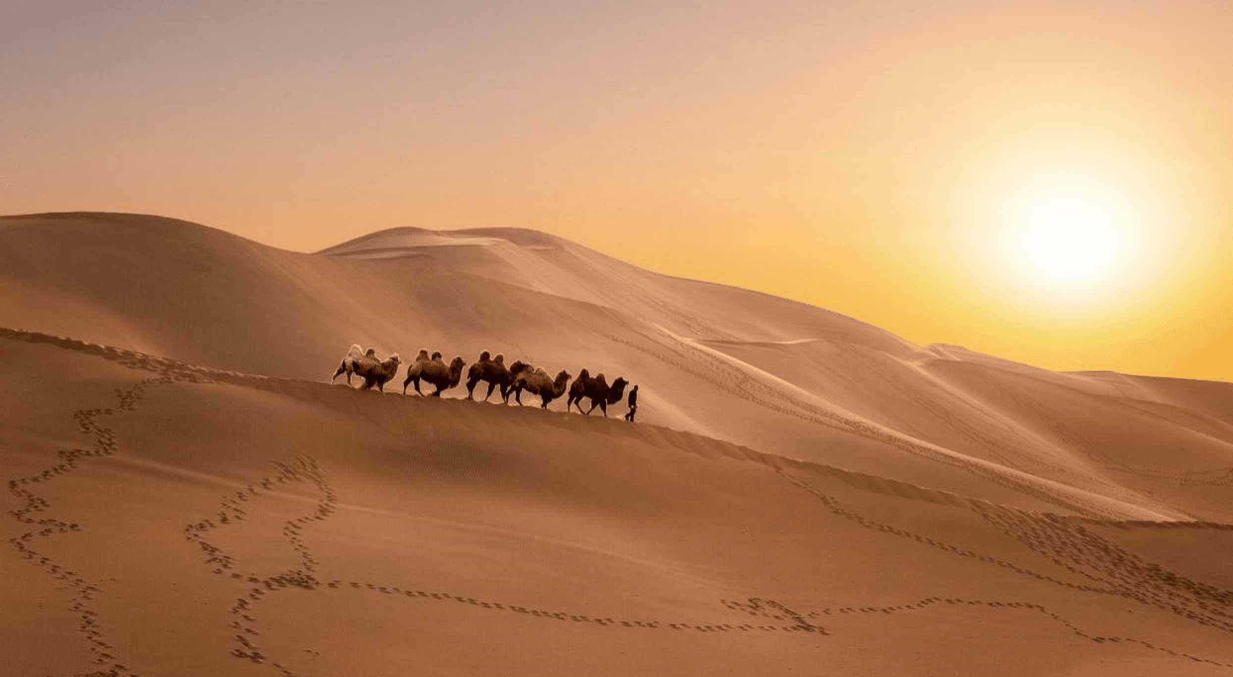silk-road-shared-future-significance-china-central-asia-cooperation