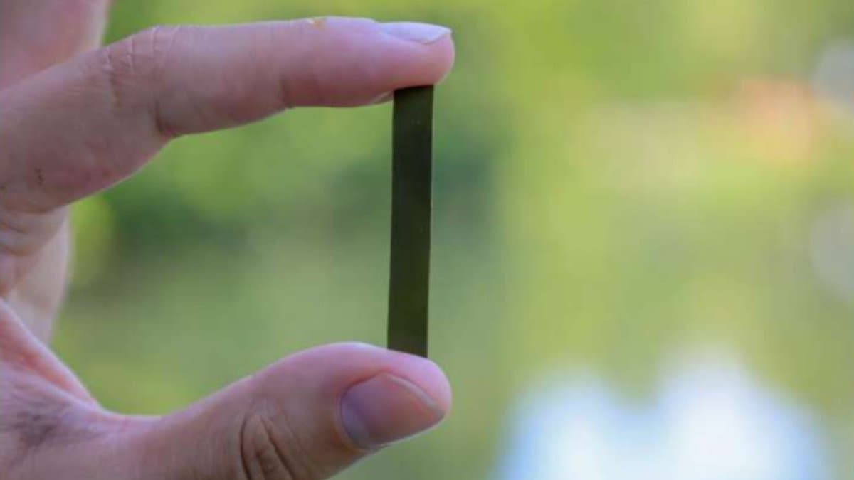 Scientists have created a new durable plastic from algae that is fully recyclable