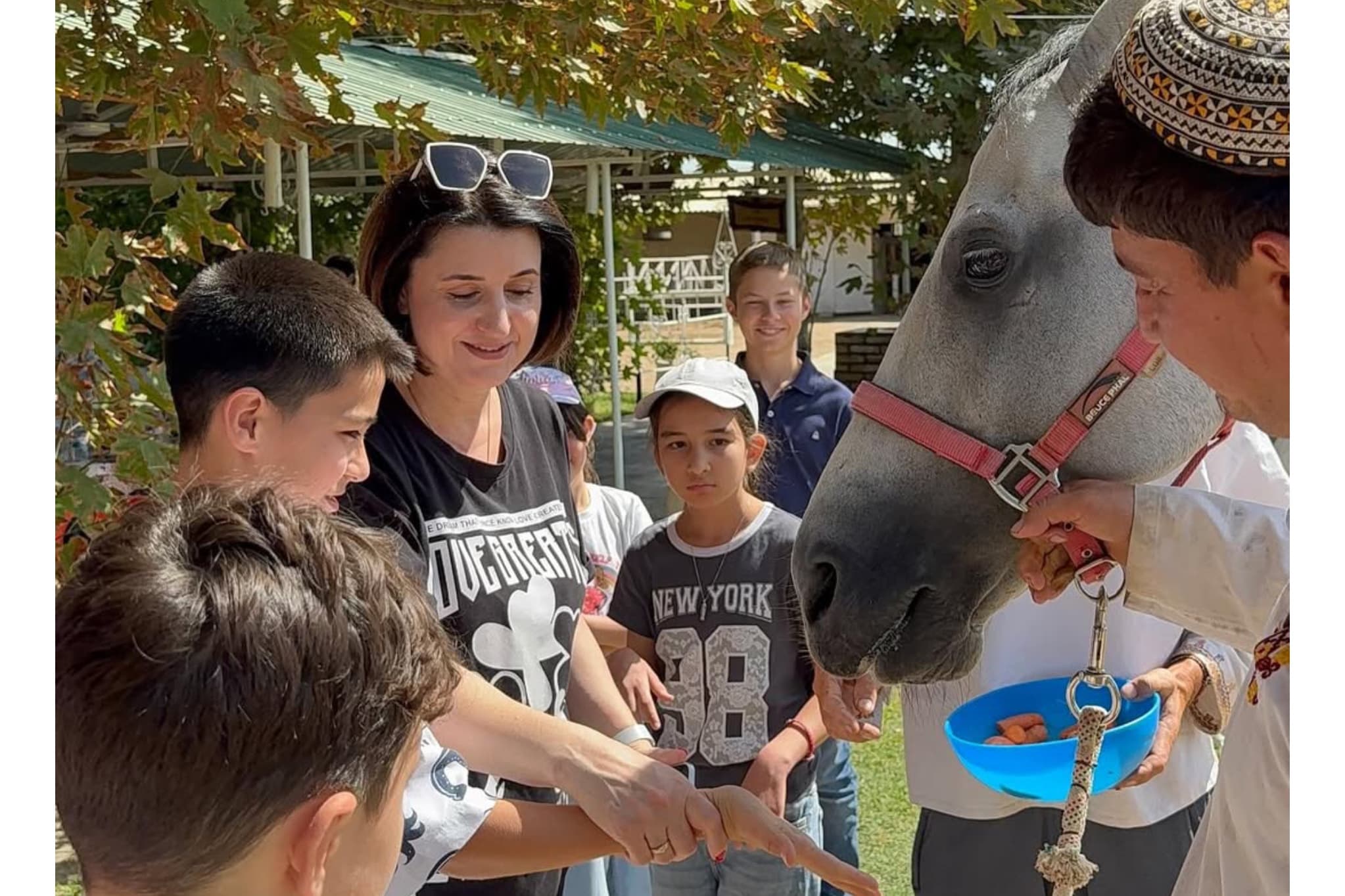 Le.Travel Travel Agency Invites to the Autumn Adventure at the Horse Farm