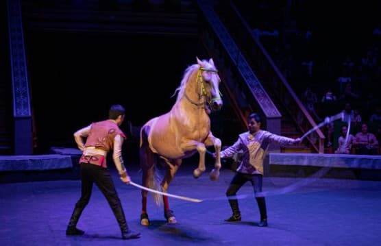 gosudarstvennyj-cirk-turkmenistana-priglashaet-na-feericheskoe-predstavlenie