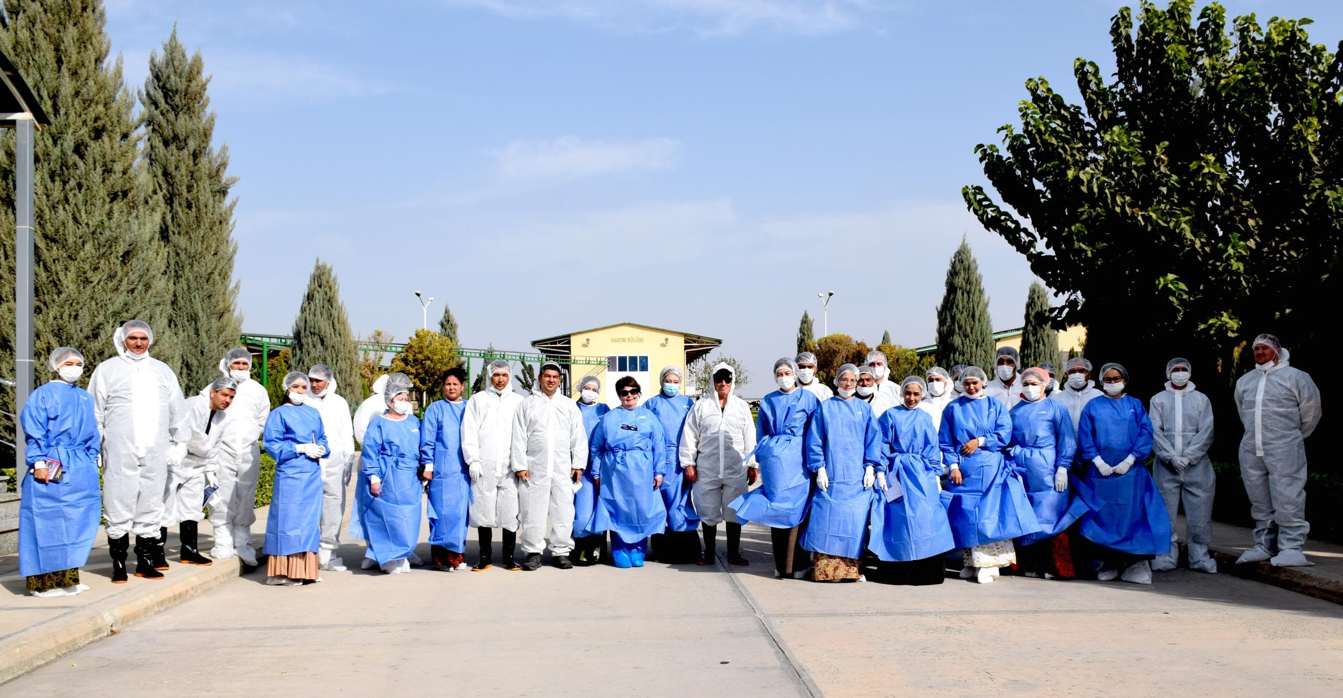 Turkmen Specialists Undergo Practical FAO Training on Brucellosis