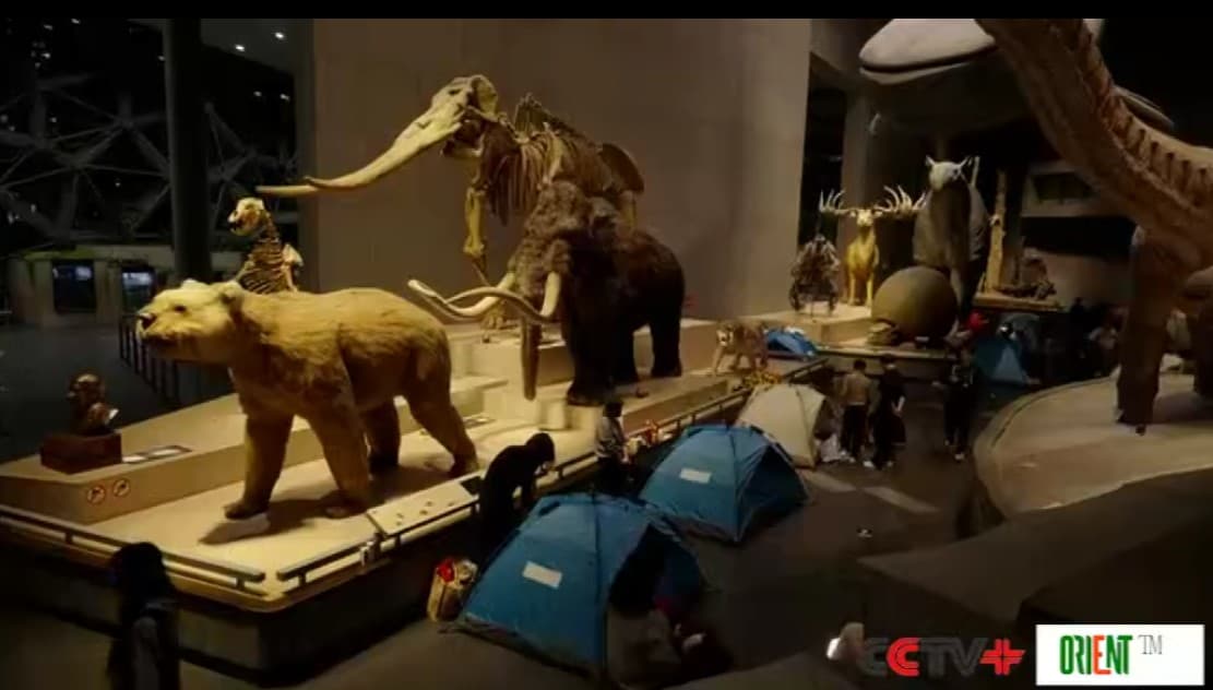 Ночь среди мамонтов: шанхайский музей запустил экспериментальную программу семейного кемпинга