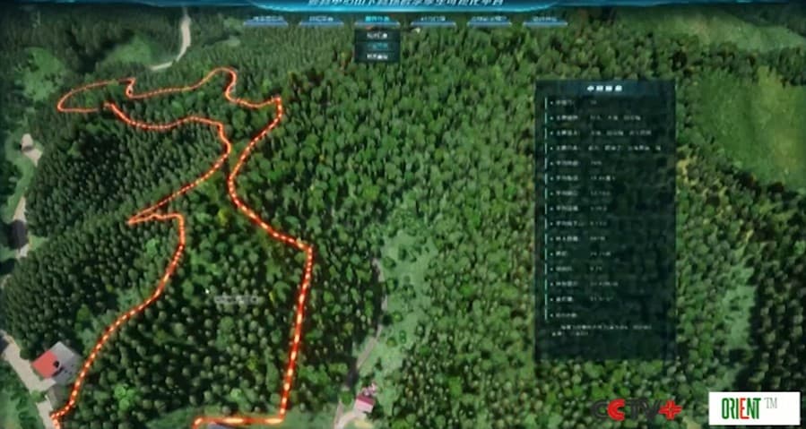 Китайский «цифровой лес», созданный с помощью искусственного интеллекта, способствует озеленению страны в день посадки деревьев