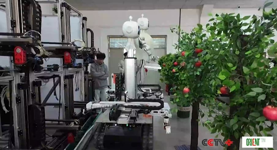 Китайские исследователи создали робота‑сборщика яблок «Близнецы»