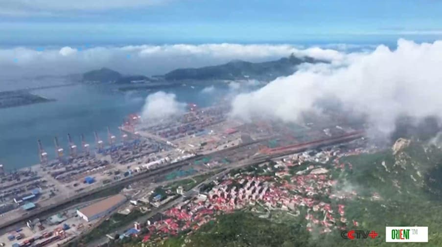 Логистическая база Китай‑Казахстан обработала более 20 тысяч TEU грузов с начала 2026 года