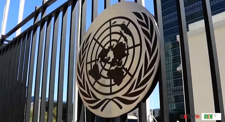 China against the 'law of the jungle': Wang Yi calls for UN reform and stronger Global South voice