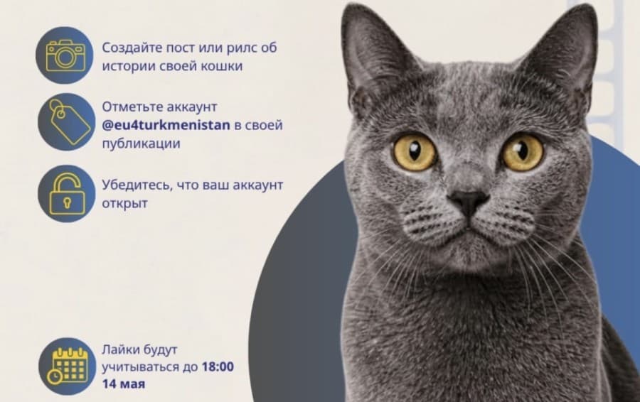 Конкурс от Делегации Европейского союза в Туркменистане на историю о вашем питомце