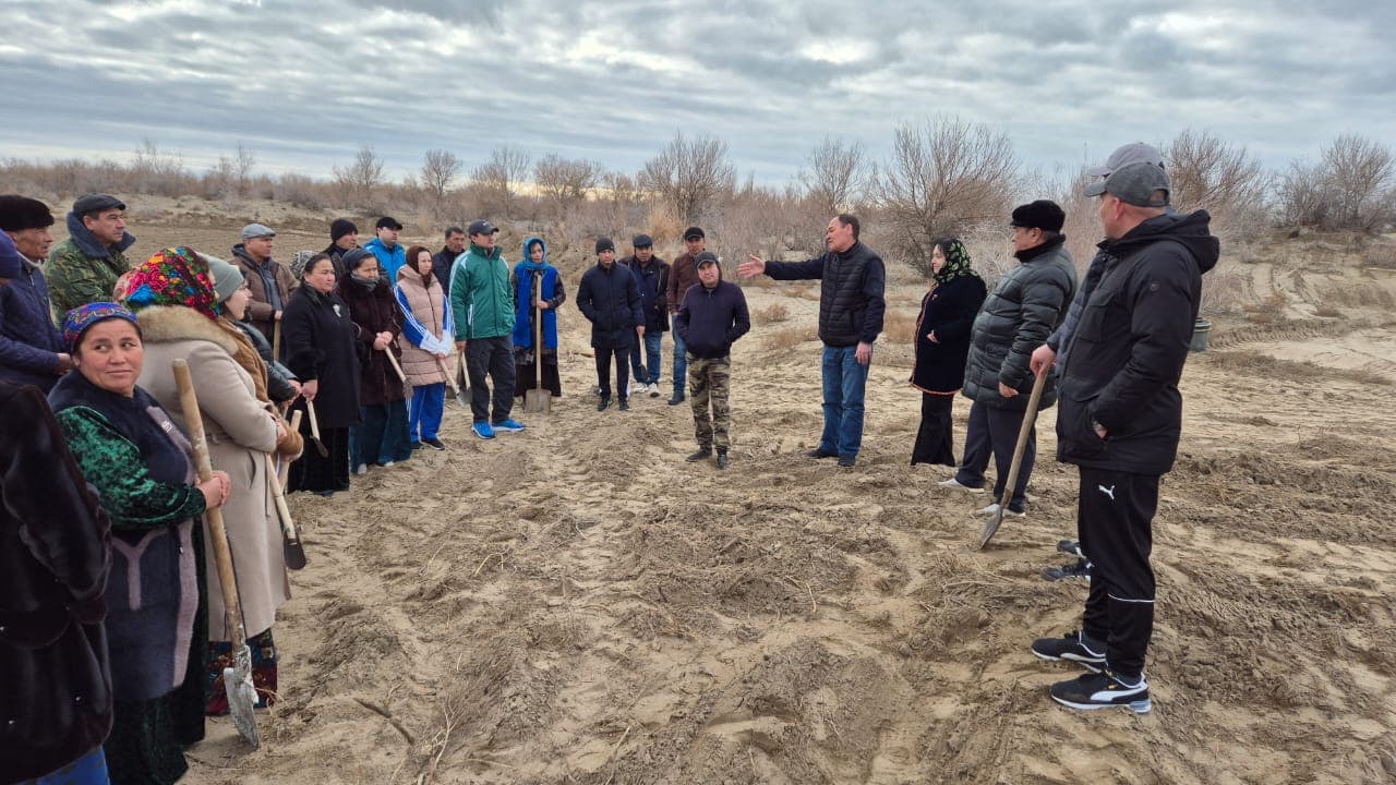 В Лебапе провели мероприятия по восстановлению лесов и земель