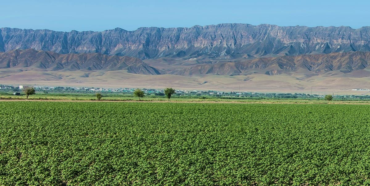 Turkmenistan establishes cooperation with IGN FI in the Agricultural Sector