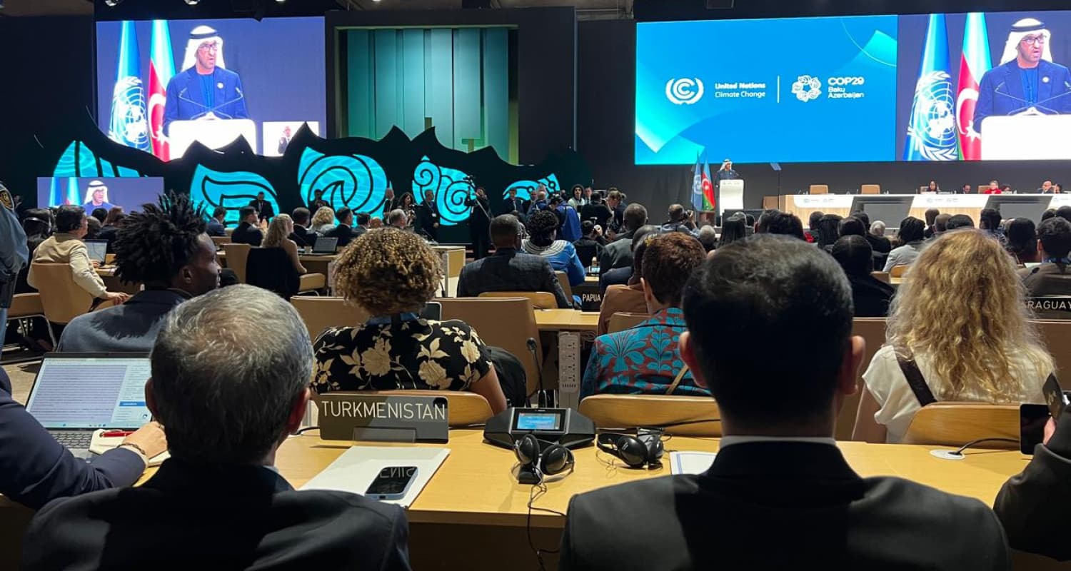 Туркменистан участвует в COP29 в Баку
