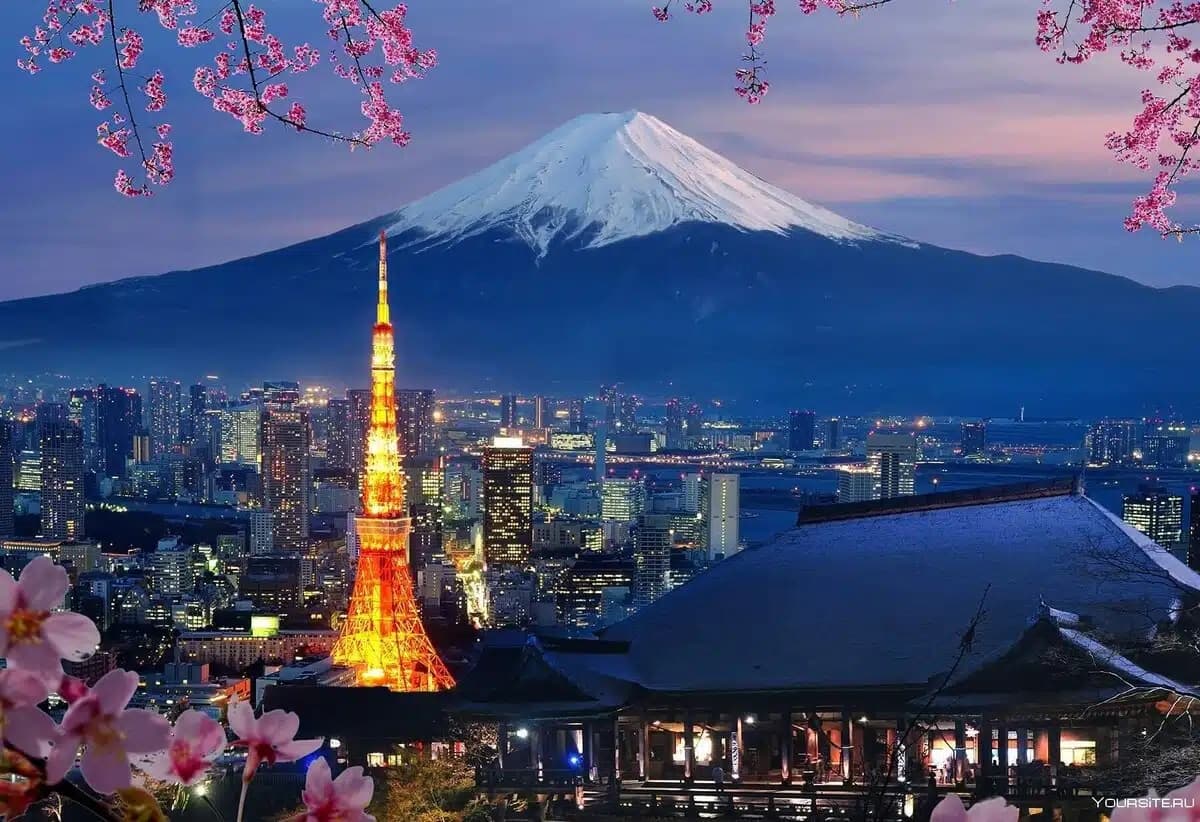 kyodo-news-japan-central-asia-summit-take-place-december-20