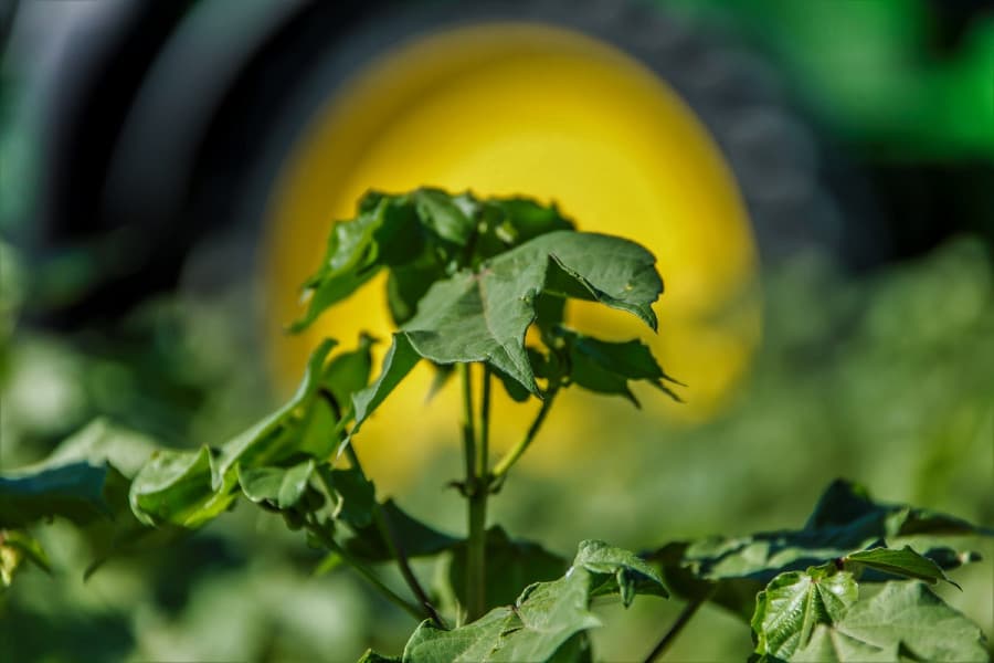 president-turkmenistan-approved-cotton-industry-production-plan-2026