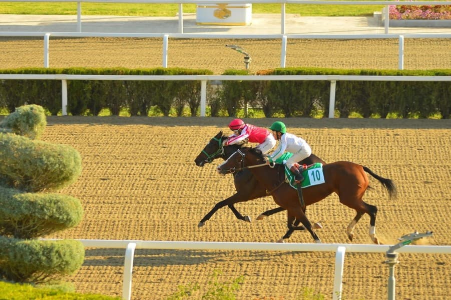 Turkmenistan Will Represent Its Akhal-Teke Horses at the World Championships in Tashkent